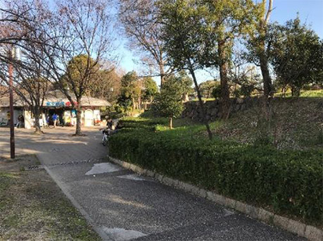 写真１．水上バス乗場付近の徳川期石垣（北西から）