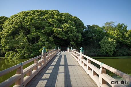 茶臼山