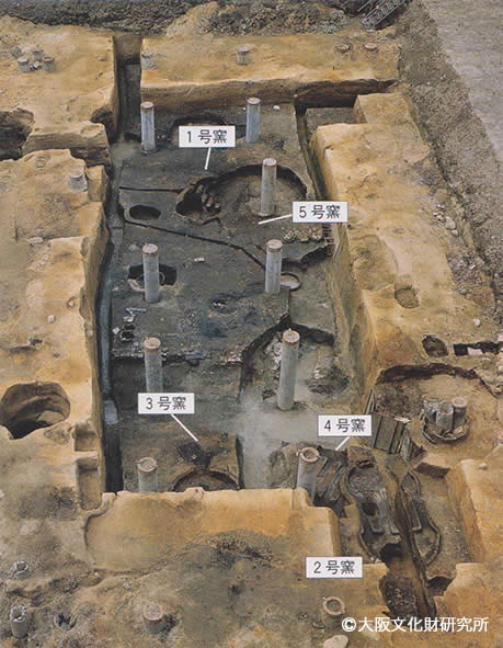 写真２．発掘された窯跡の調査地全景