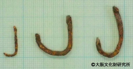 写真２．出土した釣針