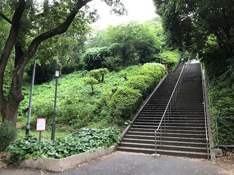 写真３．市民の森から玉造口へ登る階段（図１－A地点）
