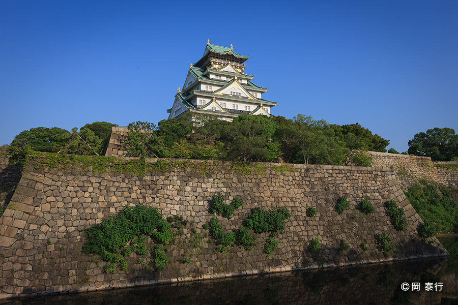 写真１．西の丸の北仕切から天守を望む