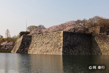 写真４．玉造口の東側にあるもうひとつの隠し曲輪