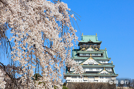 写真２．春のサクラの季節には近くにあるしだれ桜を写し込むのもおすすめ